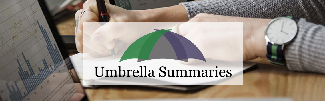 Umbrella Summaries logo placed in front of group of people meeting around a table at work